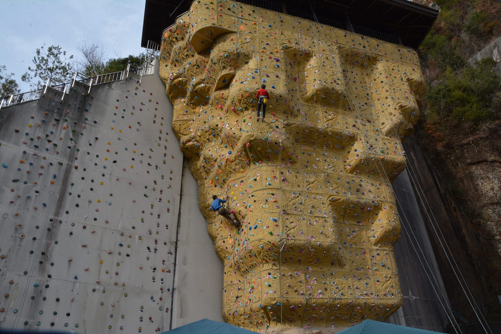 インデックスファンドは、シンプルかつ効率的な投資手段として、今後ますます注目を集める