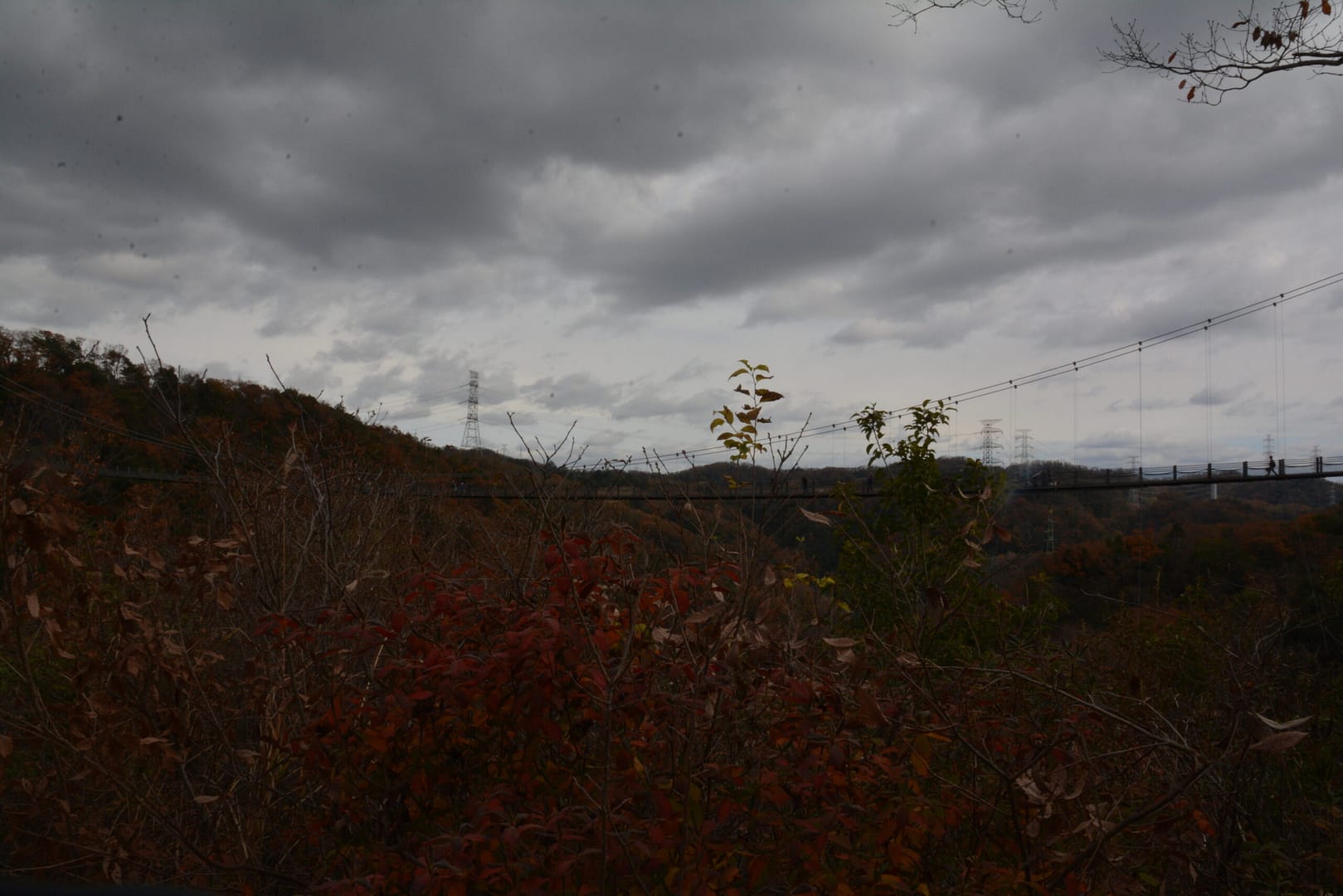 アクティブファンドの選択は、投資家個人の財務目標、リスク選好、投資哲学に深く根ざ