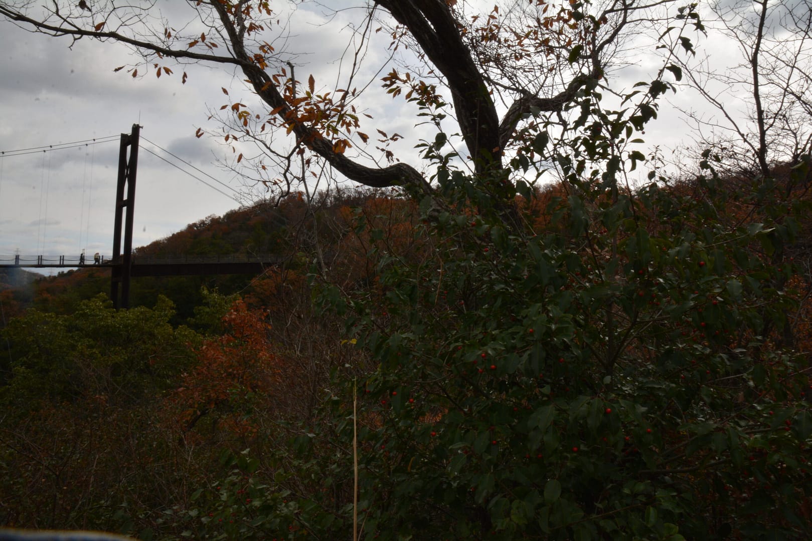 インデックスファンドは長期投資戦略において依然として魅力的